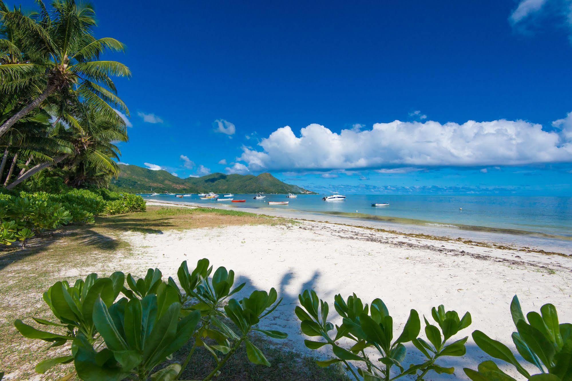 Le Tropique Villa (Adults Only) Grand Anse  Exterior photo